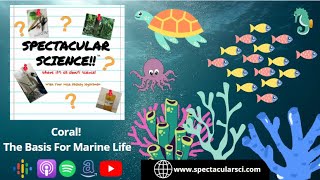 Coral! The Basis For Marine Life - Spectacular Science Ep. 112