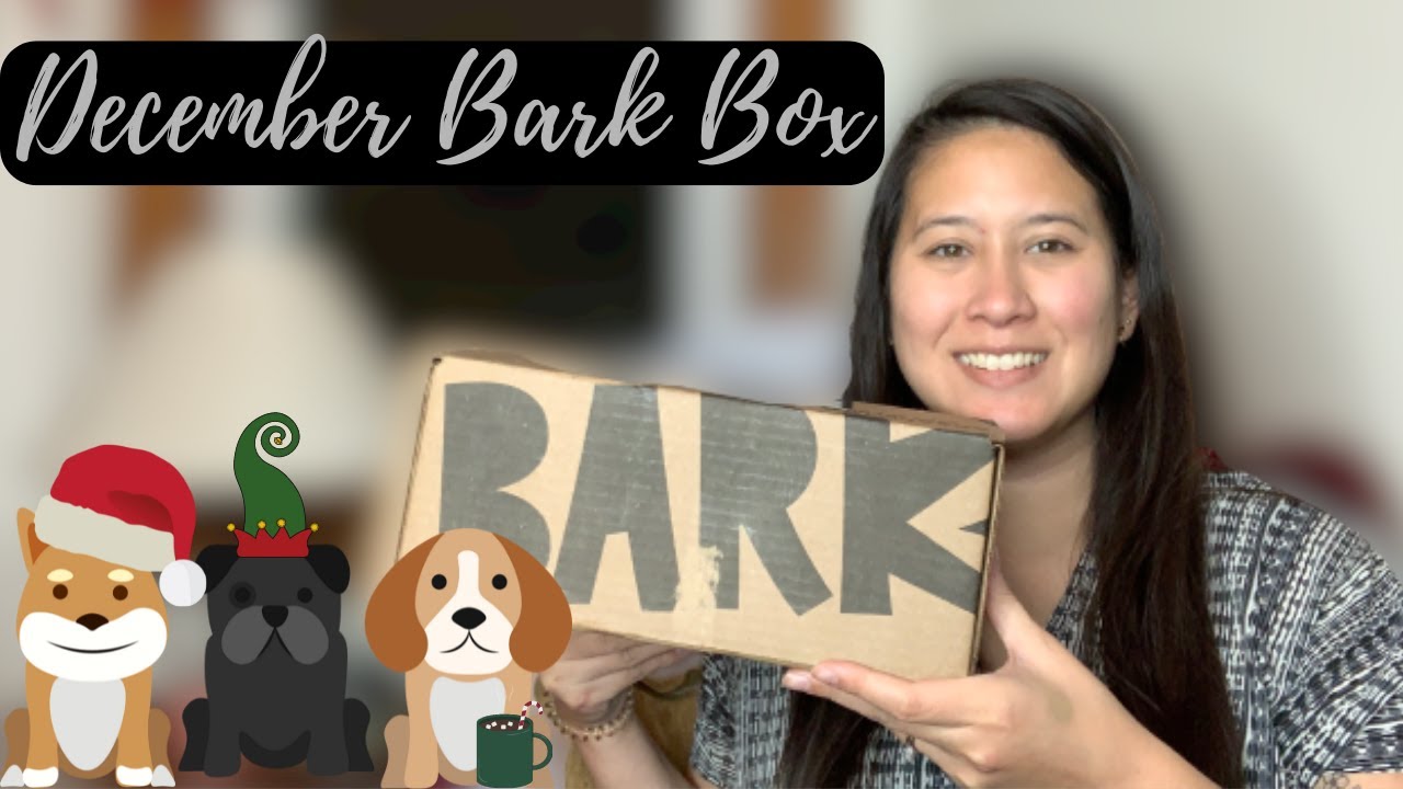 December 2022 BARKBOX Unbox & Review Bark Box Gingerbread Holiday