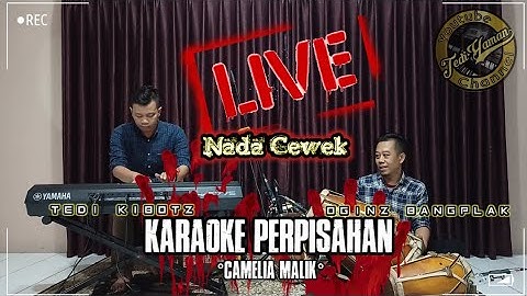 Perpisahan Karaoke Live Bajidor - Camelia Malik Nada Cewek | Pemain Musik Tedi Dan Oginz Bangplak