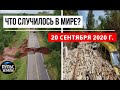 Катаклизмы за день 20 сентября 2020 ! Пульс Земли ! в мире ! событие дня ! СНЕГОПАД В ПЕРМИ