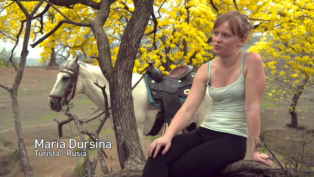 Florecimiento de los Guayacanes Zapotillo Loja Documental HD