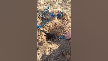 Couple Catches gopher in their how to video #gopher #gophercontrol