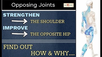 Strengthen Your Shoulder To WALK BETTER - Exercise for Multiple Sclerosis