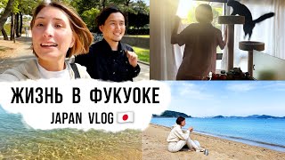 Life by the sea in Japan. How our lifestyle has changed since moving to the Japanese province