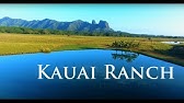 Dragons Breath Kauai Youtube Dragons Breath Kauai Youtube
