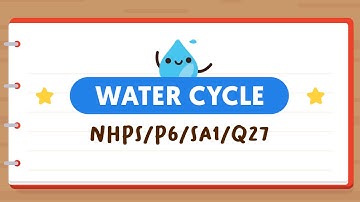 PSLE SCIENCE MADE SIMPLE EP126 | Water Cycle | What Is The White Mist? 🌫