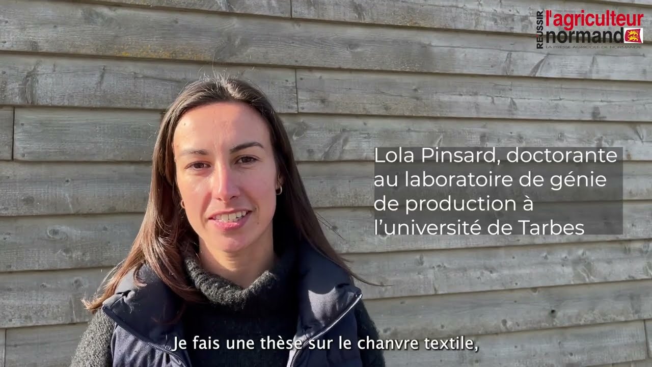 Chanvre : 65 ha teillés grandeur nature à Saint-Manvieu