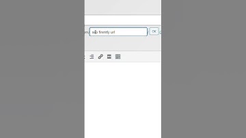 creating Seo friendly URLs in wordpress #shorts #wordpress