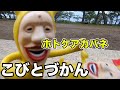 【ホトケアカバネ】を見つけた。【こびとづかん】