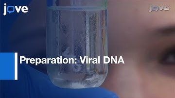 Preparation: Viral DNA From Nucleocapsids l Protocol Preview