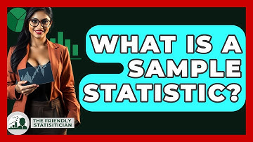What Is A Sample Statistic? - The Friendly Statistician