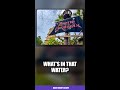 What Disney Hides in Pirates of the Caribbean's Water #Shorts #PiratesOfTheCaribbean #Disney