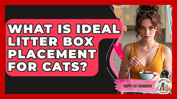 What Is Ideal Litter Box Placement For Cats? - Happy Cat Handbook