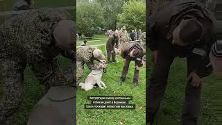 Экспертную оценку охотничьим собакам дают в Вороново. Здесь проходит областная выставка
