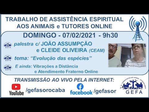 Assista: Trabalho de Assistência Espiritual aos Animais ONLINE - c/ JOÃO e CLEIDE (07/02/2021)