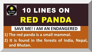 10 Lines on Red Panda in English | Few Lines on Red Panda