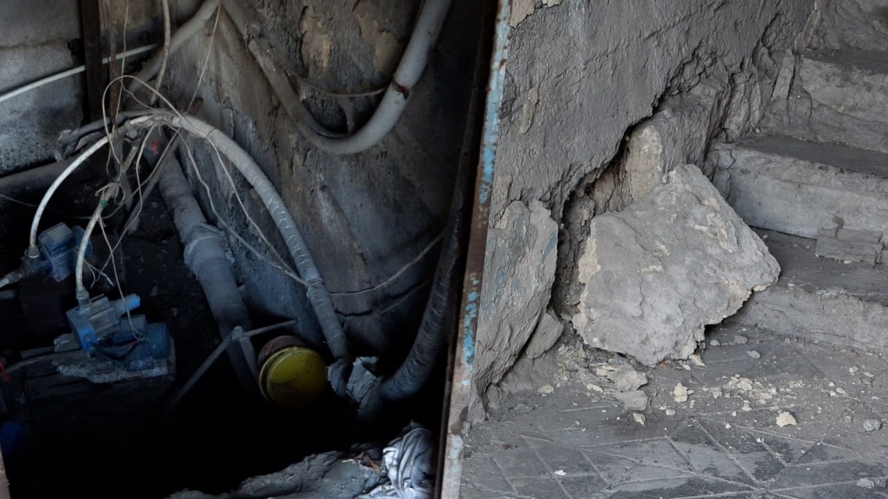 Կոյուղաջրերի մեջ ապրողները