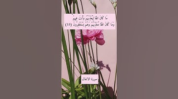 آية "وما كان الله ليعذبهم وأنت فيهم وما كان الله معذبهم وهم يستغفرون" (فقط) | من آيات الاستغفار ♥️