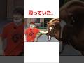 オルフェーヴルの面白い雑学#競馬
