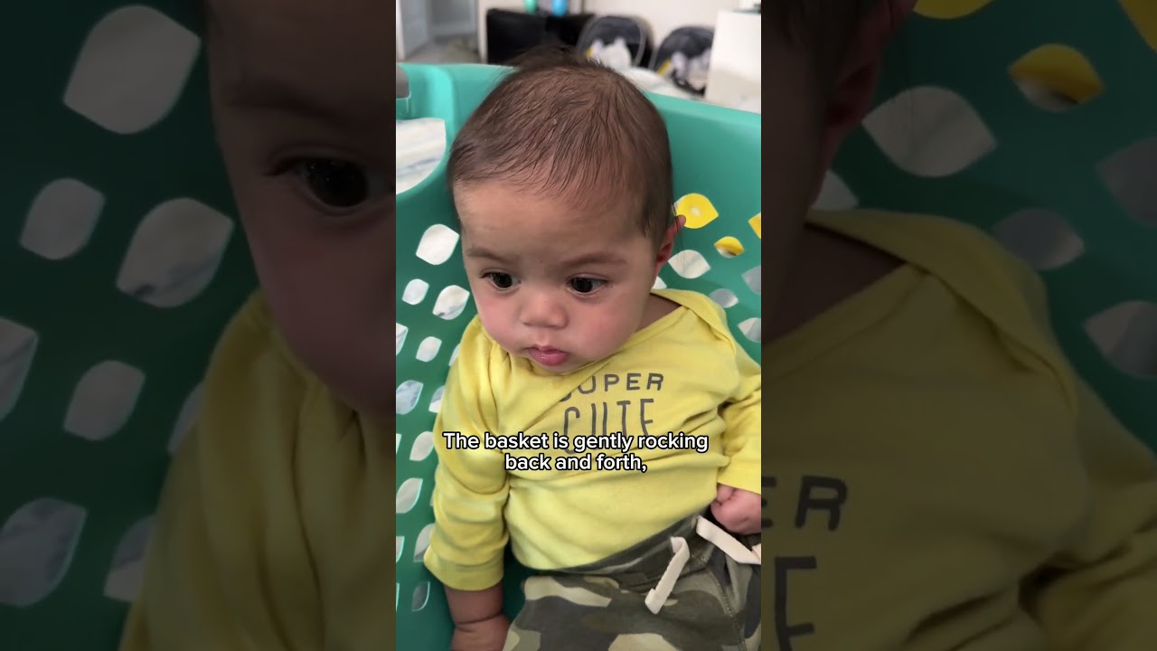 #chillout in a laundry basket. #twins #love #cute #fyp #explorepage #followme #shorts #youtuber