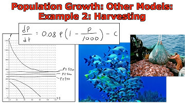 Population Growth: Other Models: Harvesting: Example 2