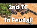 Cumans DOUBLE TC BOOM In Feudal Age Build Order! | Aoe2 DE