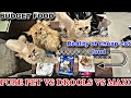 Pure pet vs drools vs maxi cat food review and comparison  reality of budget cat food