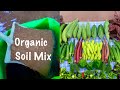 How to prepare healthy and perfect soil for summer garden  best soil mix preparation