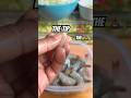 How to remove POOP with out destroying, shrimp￼ 🍤 #prawns #shrimp #cooking #cleaning #seafood #chef