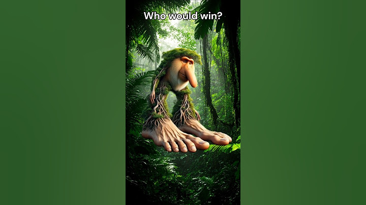 Brrr Brrr Patapim vs Frulli Frulla Battle - Who would win the fight?🌴🐦 #brainrot #funny #meme