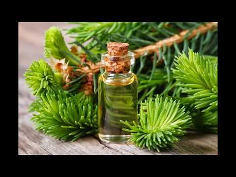 Настойка на сосновых почках  #домашняя аптека, #сосновые почки