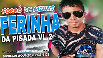 FERINHA DA PISADA ! CD TOP DE MINAS VL.2