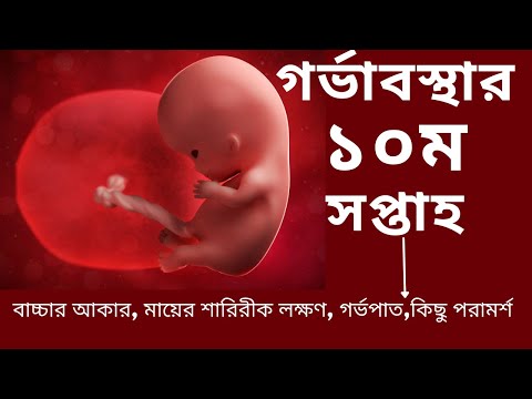 ভিডিও: কী একজন ভাল জীবাশ্মবিদ তৈরি করে?