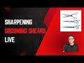 Sharpening pet grooming shears live again! @Sharpen Right Services LLC - Mike White is live!