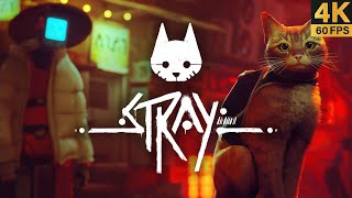 تختيم لعبة ستراي|Stray full game walkthrough 4k 60FPS #2