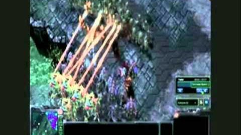 Zerg Starcraft 2 Tutorial | Starcraft 2 Zerg Tutorial Secrets Video