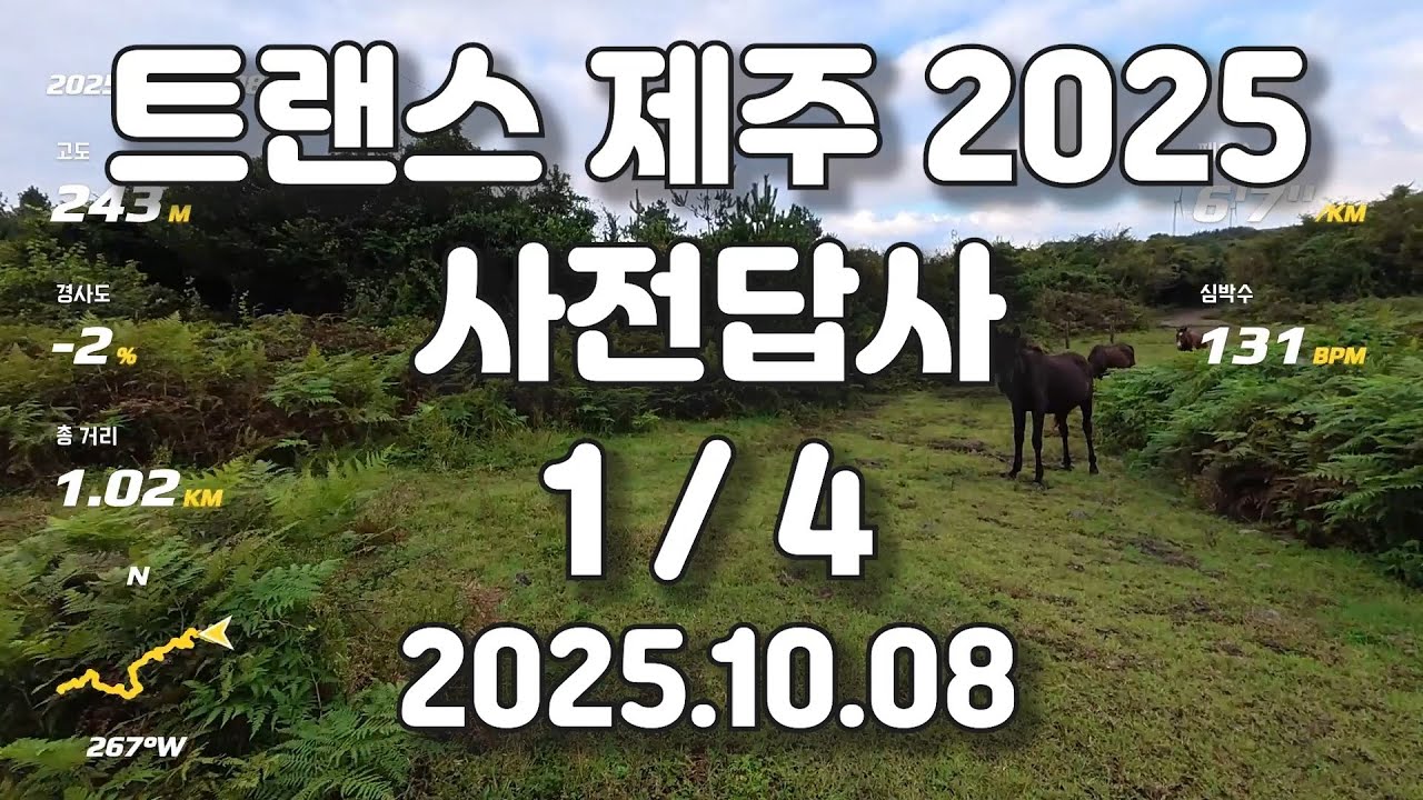 2025 트랜스 제주 70K 답사 (1/4)