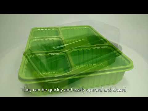 disposable plastic container for food,biodegradable clamshell container,Chinese