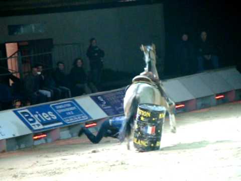 Vidéo: Une Femme Canadienne Réveille-t-elle Sa Mémoire Génétique Après Une Chute De Cheval? - Vue Alternative