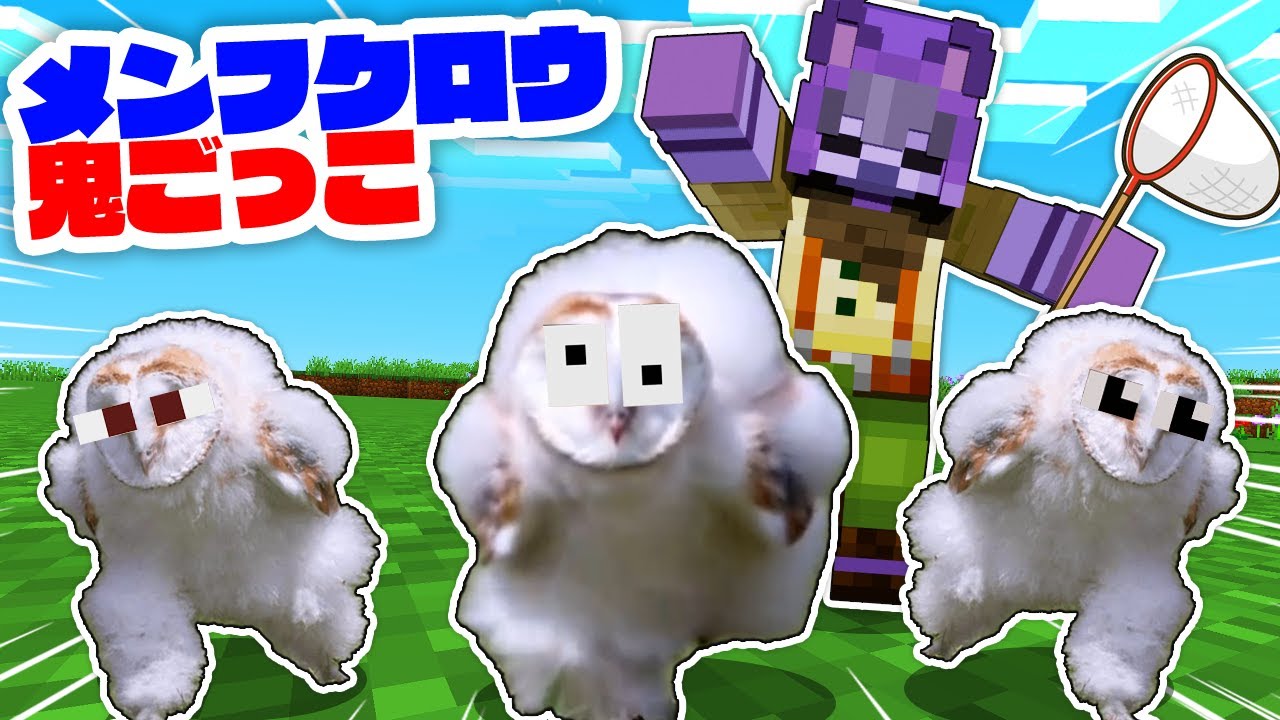 ｴｯﾎｴｯﾎ！人間に捕まらずに施設から逃げろ！【メンフクロウ鬼ごっこ】