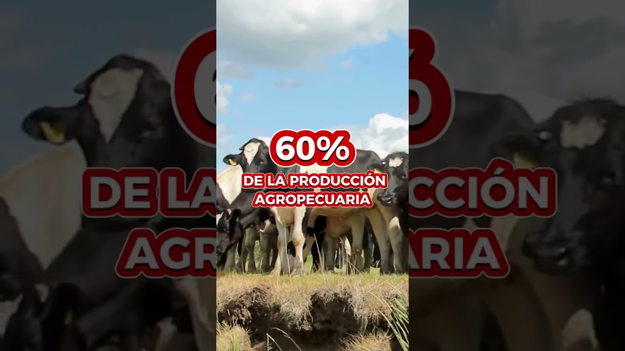 Autovía ruta 5