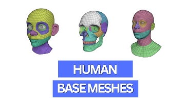 How to use Blenders new human base meshes for 3d character design