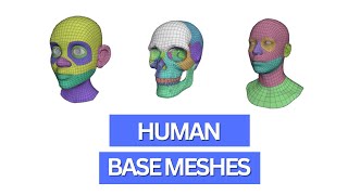 Celebrity How to use Blenders new human base meshes for 3d character design Profile