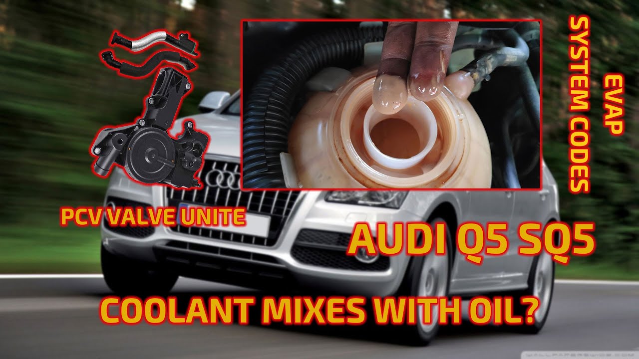Audi Q5/SQ5 COOLANT MIXES WITH OIL The Fault And The Fix مشكلة خلط