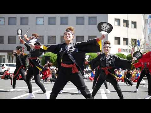 13 波桜 後半のみ 安濃津よさこい2019 津駅前会場