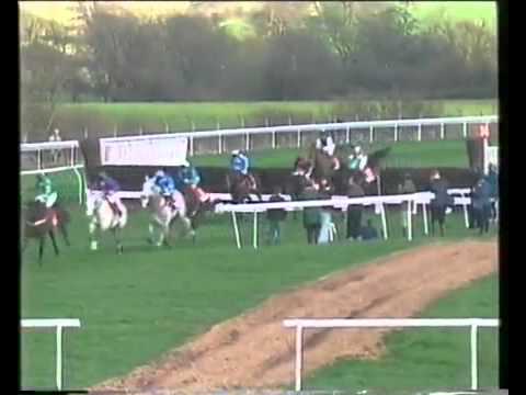 Cool Dawn- The 1998 Cheltenham Gold Cup