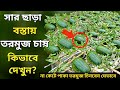 সার ছাড়া তরমুজ চাষ কিভাবে হয় দেখুন - না কেটে পাকা তরমুজ চেনার উপায় - তরমুজ চাষ পদ্ধতি