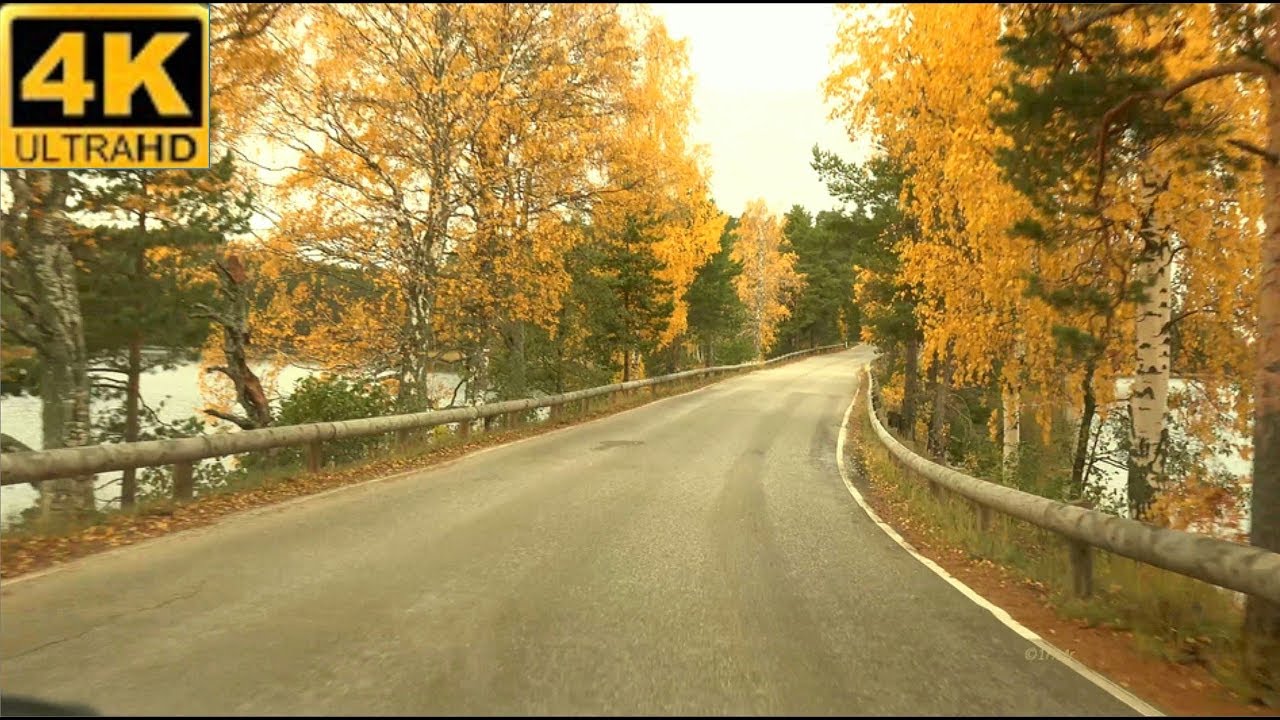 Punkaharjun  Harjutie  - CNN 50 awe-inspiring natural wonders list 44. FINLAND 4K