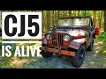 Will it Start? | 1965 Jeep CJ5 - Rusting away in the Woods