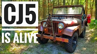 Will it Start? | 1965 Jeep CJ5  Rusting away in the Woods